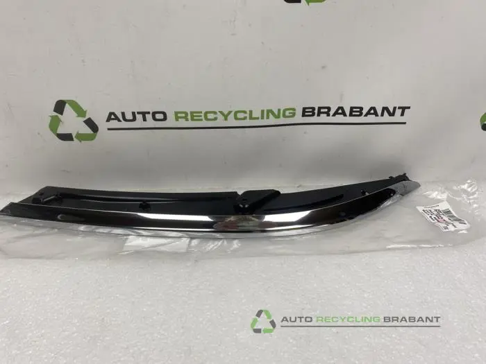 Zierleiste Volkswagen Passat