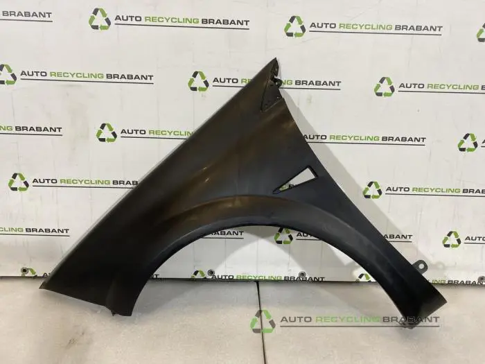 Scherm links-voor Renault Megane