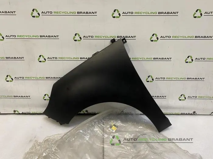 Scherm links-voor Renault Scenic