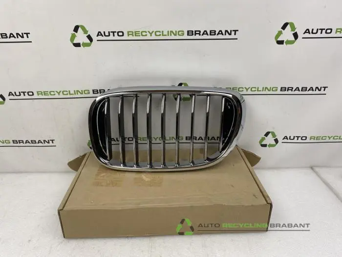 Grille BMW 7-Serie