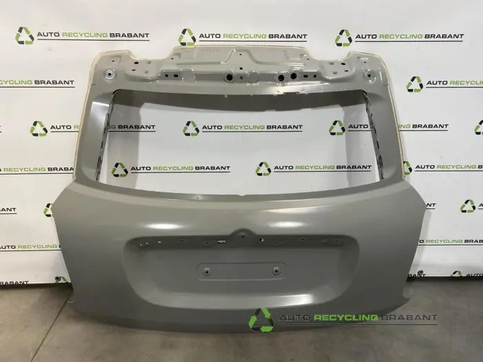 Achterklep Mini Countryman