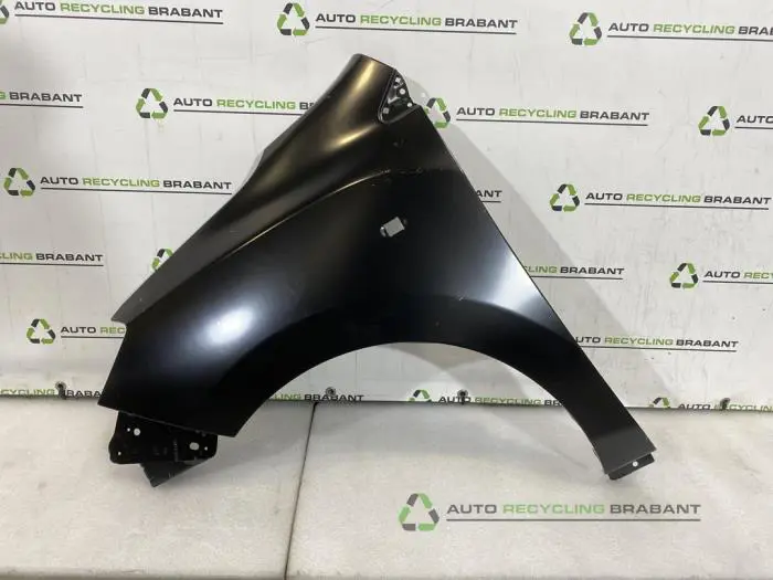 Scherm links-voor Dacia Lodgy