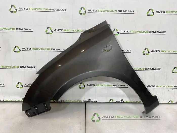 Scherm links-voor Suzuki Swift