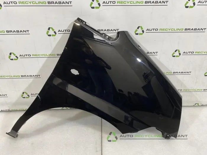 Scherm rechts-voor Hyundai H1 People