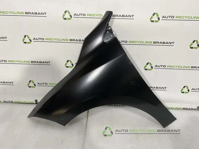 Scherm links-voor Renault Megane