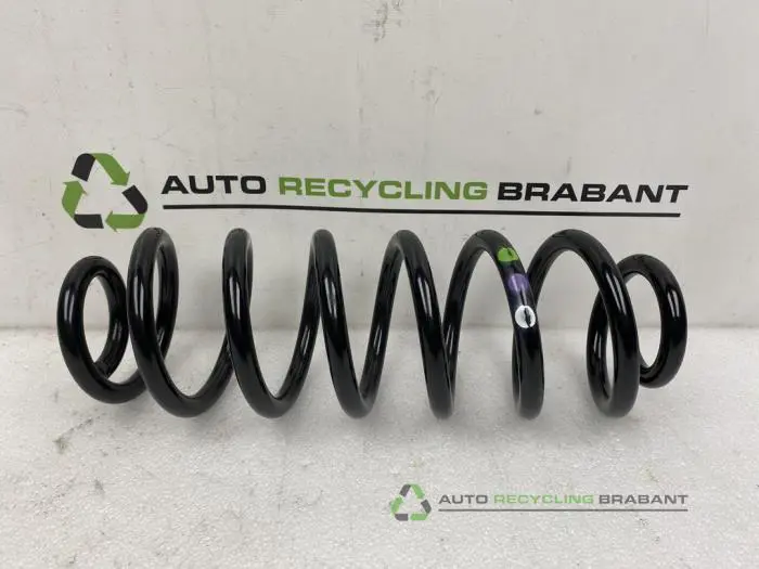 Veerschroef voor Volkswagen Passat