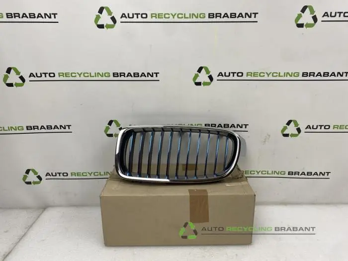 Grille BMW 3-Serie