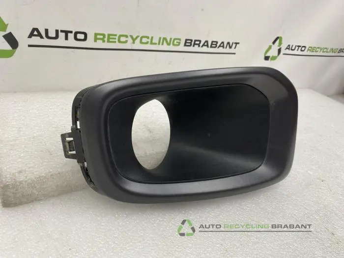 Abdeckplatte Nebelscheinwerfer links - 26653f3c-ea64-4443-80b2-7e7412d2636e.jpg