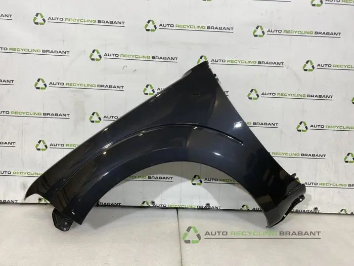 Scherm links-voor Nissan Pathfinder