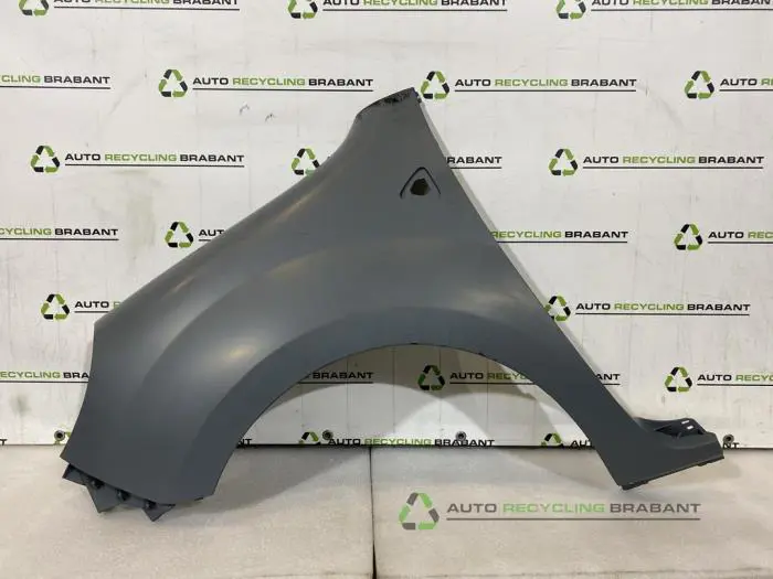 Scherm links-voor Renault Kangoo