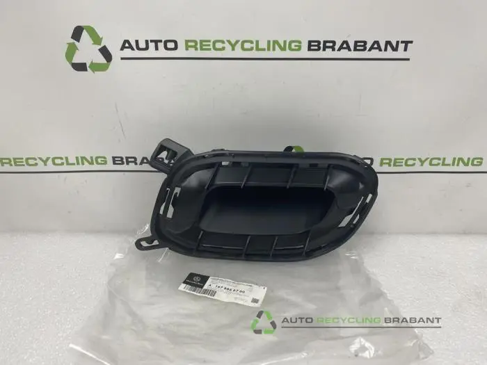 Stoßstangenrost Mercedes GLE