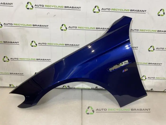 Scherm links-voor BMW 5-Serie