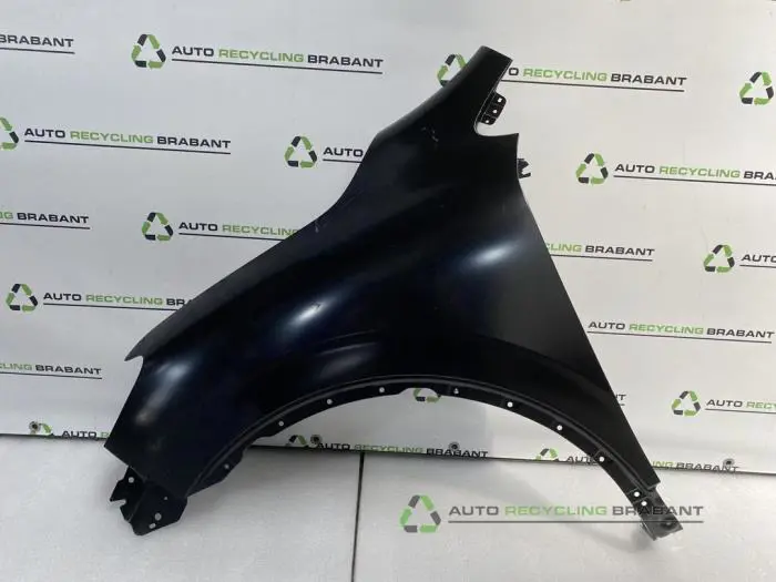 Scherm links-voor Renault Kadjar