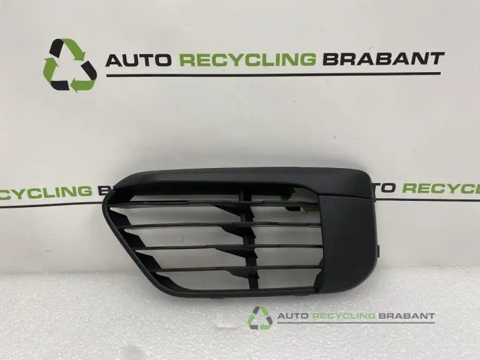 Stoßstangenrost BMW X1