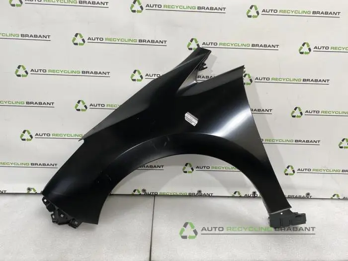 Scherm links-voor Nissan Leaf