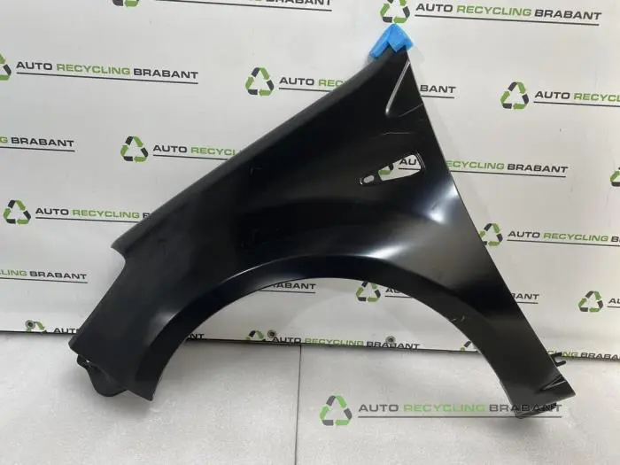 Scherm links-voor Dacia Sandero