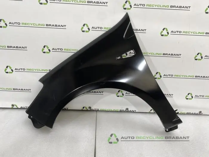 Scherm links-voor Dacia Sandero