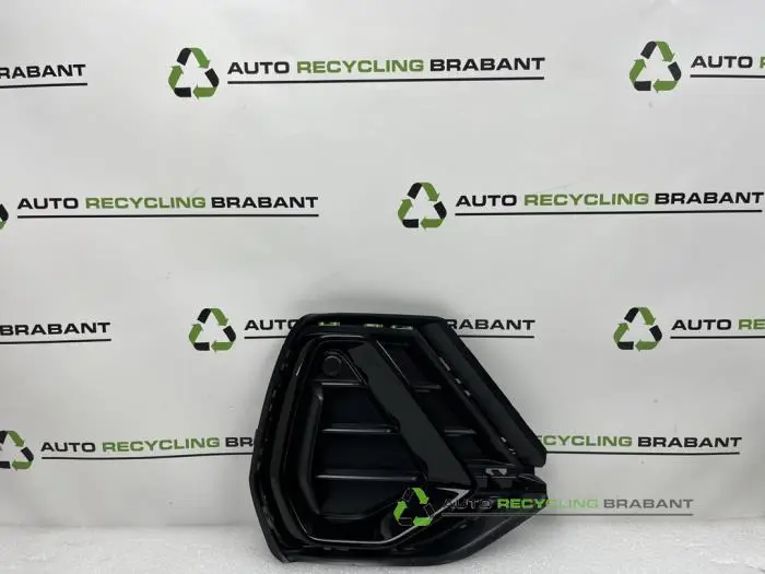 Stoßstangenrost Audi Q3