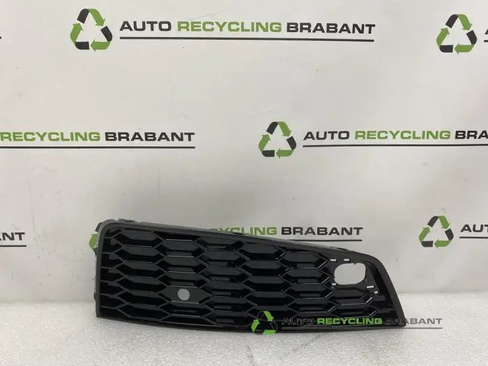 Stoßstangenrost Audi Q3