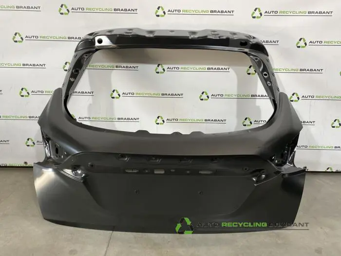 Achterklep Nissan Juke