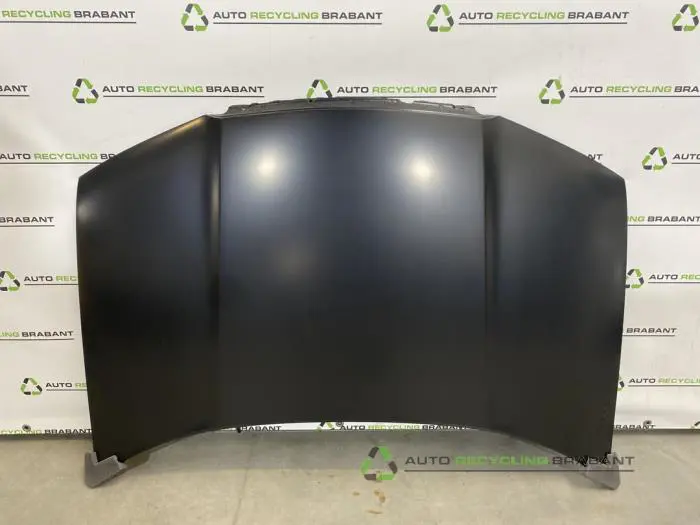 Motorkap Skoda Fabia