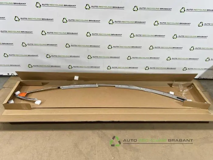 Zierleiste Tesla Model S