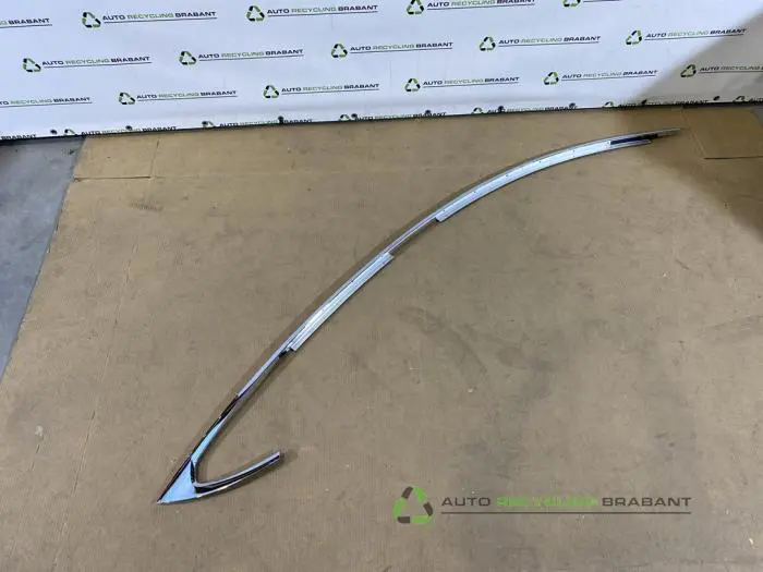 Zierleiste Tesla Model S