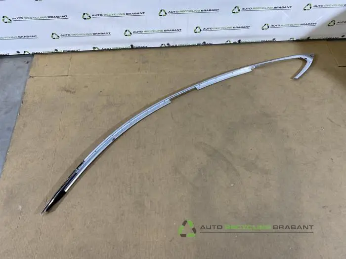 Zierleiste Tesla Model S