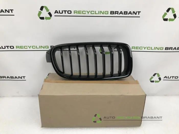 Grille BMW 3-Serie
