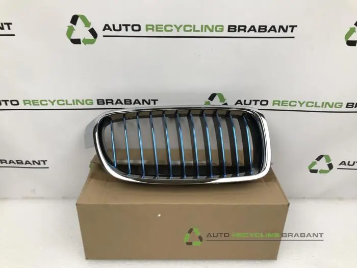 Grille BMW 3-Serie