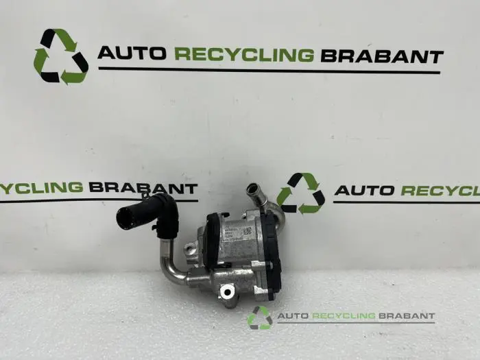 AGR Ventil Volkswagen Golf