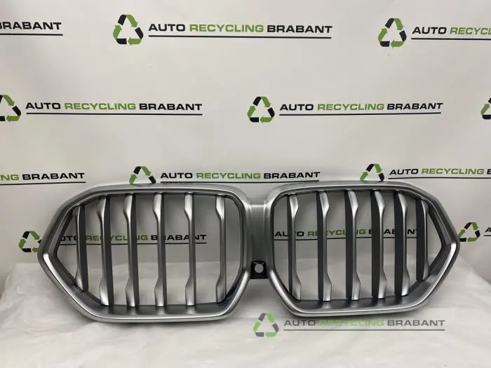 Grille BMW X6