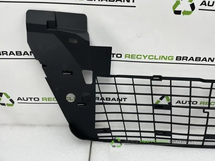 Grille - d235c3d1-0b2d-4d7c-b5b7-d9be3b024f03.jpg