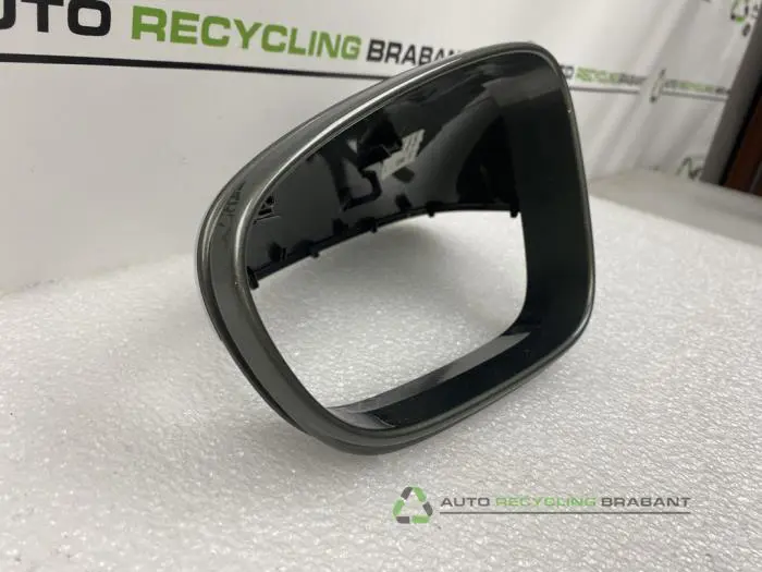 Spiegelkap links - 2f7c4ba9-6fb0-40f8-96c2-c7af4a48b919.jpg