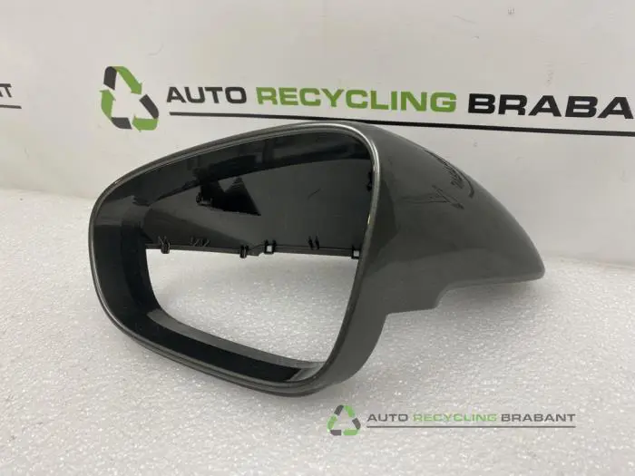 Spiegelkap links - cde0a99a-1498-4a2d-85db-3c206d7948dc.jpg