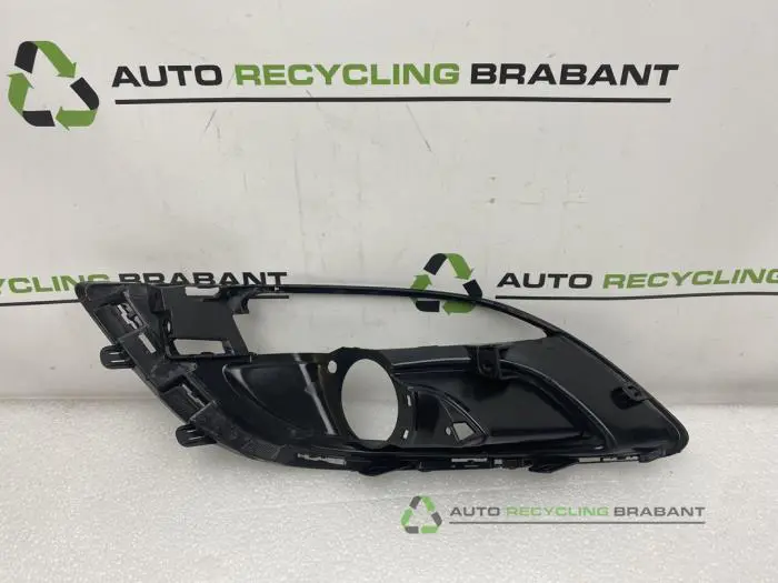 Stoßstangenrost - e871a542-f01d-4c76-8e4c-60b23146f14a.jpg