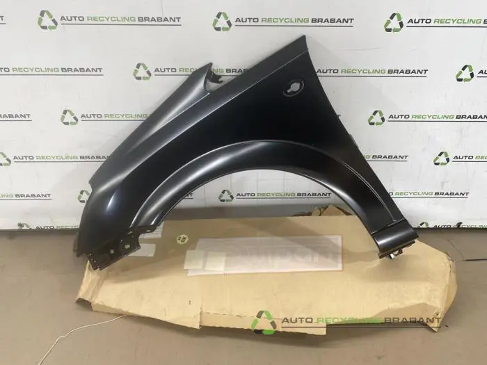 Scherm links-voor Opel Meriva