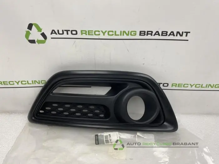 Stoßstangenrost Renault Captur