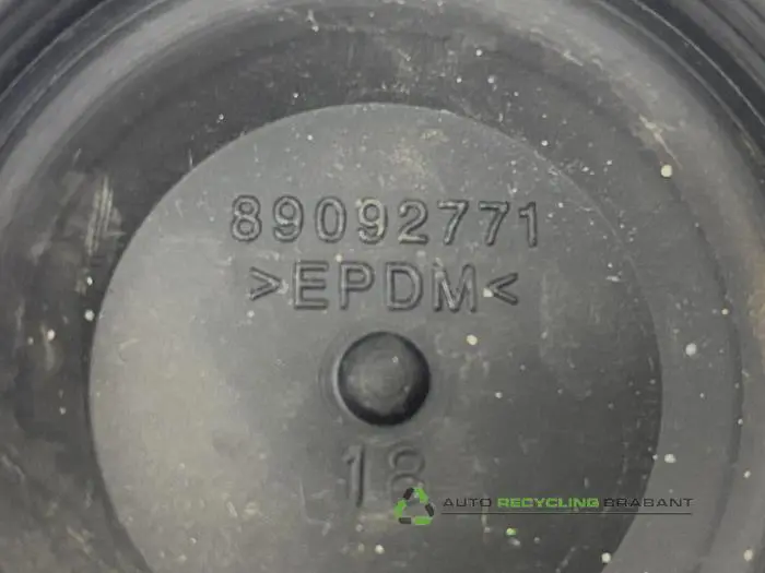 Diversen - ca94dd6f-7e3e-4f9f-bf78-16690bca5309.jpg