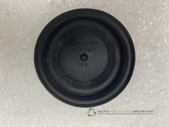 Diversen - d03278a5-eeb6-4f8b-a137-f8fada98a0c3.jpg