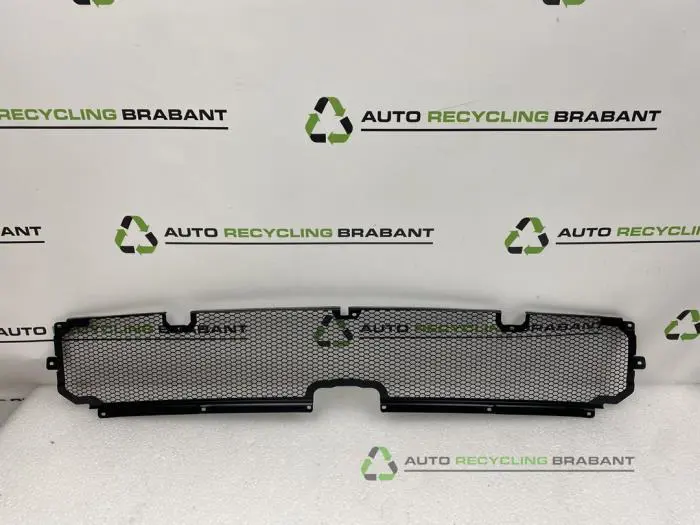 Stoßstangenrost Iveco Daily