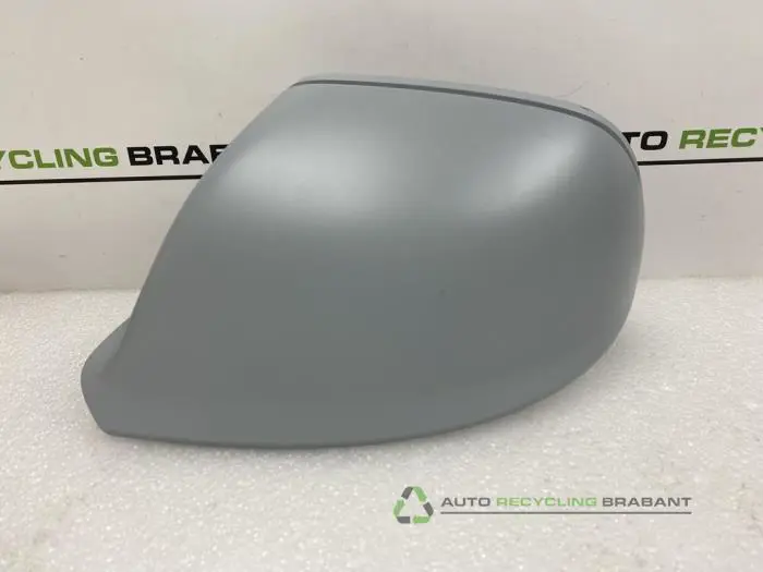 Spiegelkap links - d19a513c-07cb-4035-8ef7-bb9c6573b4bf.jpg