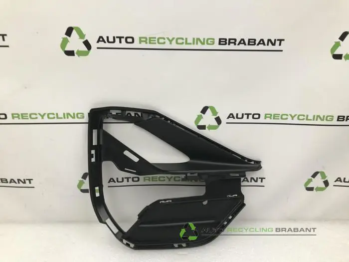 Stoßstangenrost BMW X1