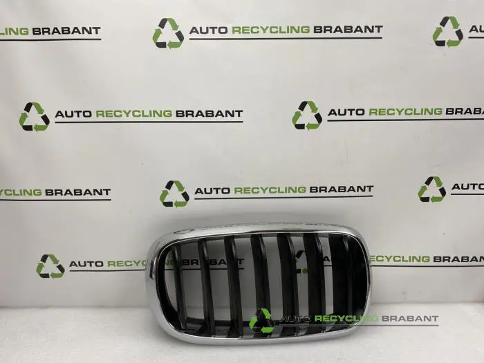 Grille BMW X5