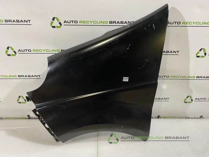 Scherm links-voor Renault Trafic