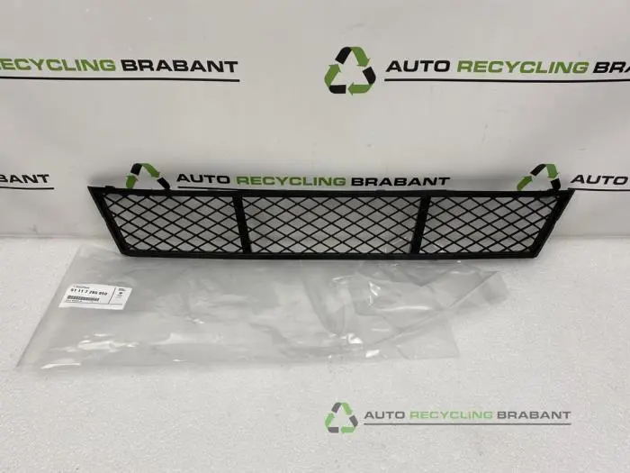 Stoßstangenrost BMW 5-Serie