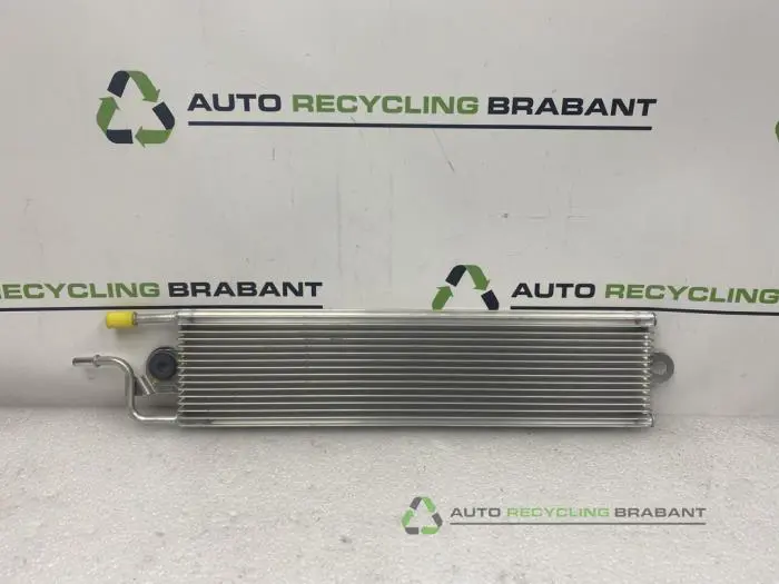 Kraftstoffkühler Volkswagen Passat