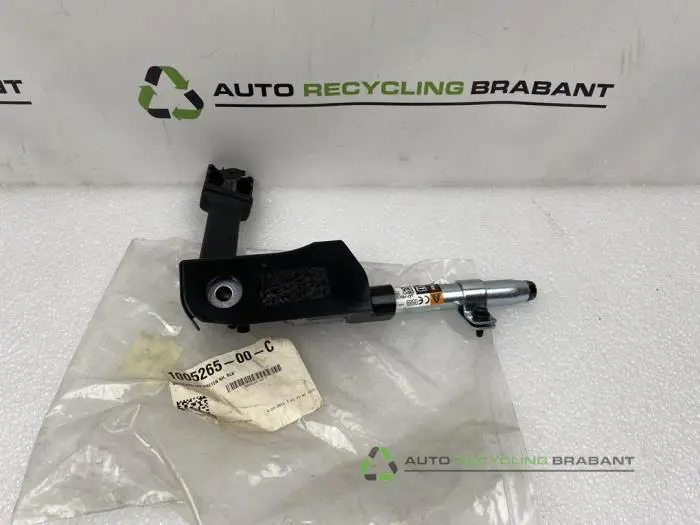 Veiligheidsgordel Insteek rechts-voor Tesla Model S