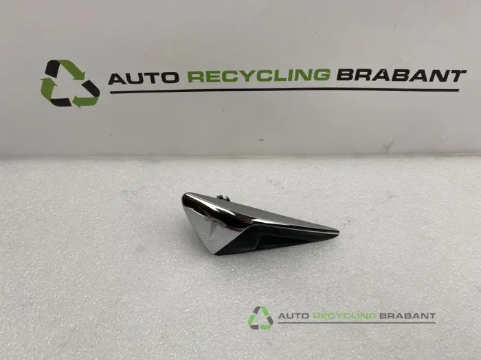 Camera voorzijde Tesla Model S