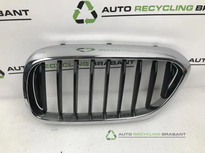 Grille BMW 5-Serie